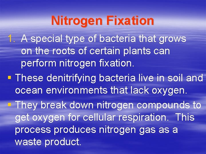 Nitrogen Fixation 1. A special type of bacteria that grows on the roots of