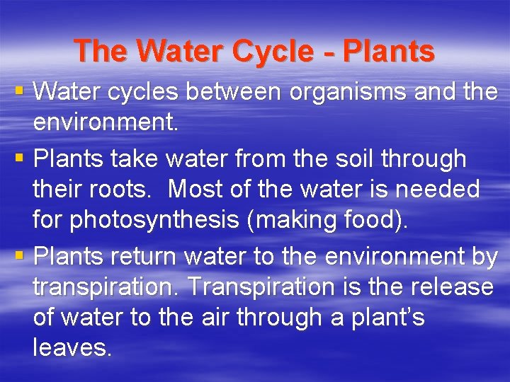 The Water Cycle - Plants § Water cycles between organisms and the environment. §