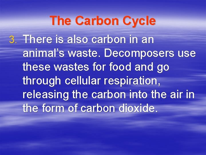 The Carbon Cycle 3. There is also carbon in an animal’s waste. Decomposers use