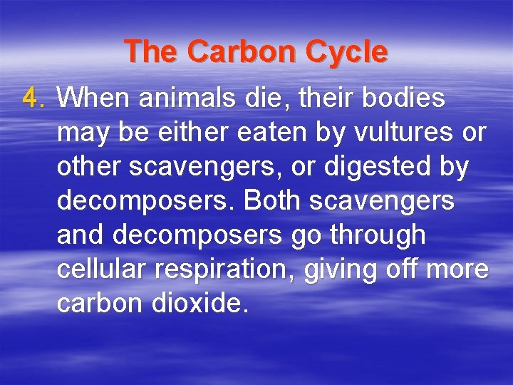 The Carbon Cycle 4. When animals die, their bodies may be either eaten by