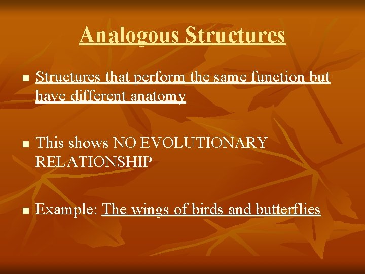 Analogous Structures n n n Structures that perform the same function but have different