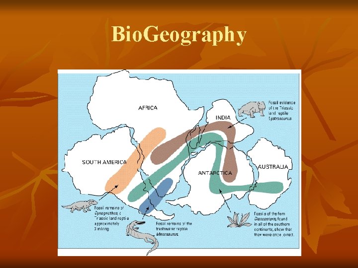 Bio. Geography 