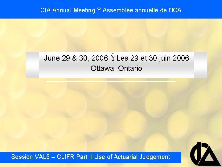 CIA Annual Meeting Ÿ Assemblée annuelle de l’ICA June 29 & 30, 2006 ŸLes