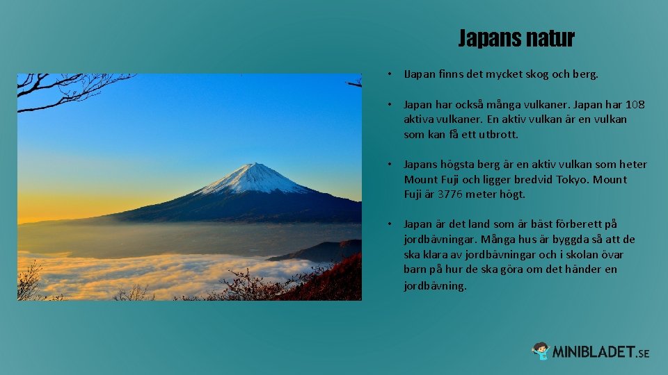 Japans natur • IJapan finns det mycket skog och berg. • Japan har också