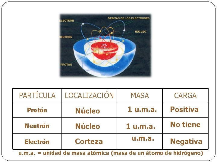 PARTÍCULA LOCALIZACIÓN MASA CARGA Protón Núcleo 1 u. m. a. Positiva Neutrón Núcleo 1