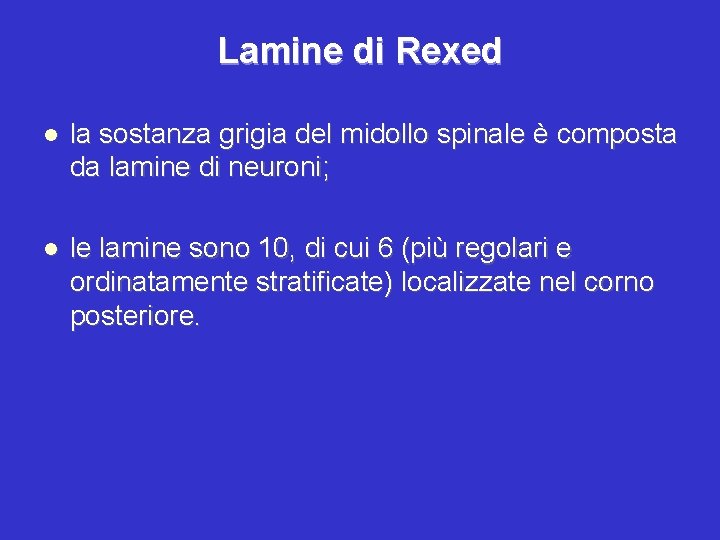 Lamine di Rexed la sostanza grigia del midollo spinale è composta da lamine di