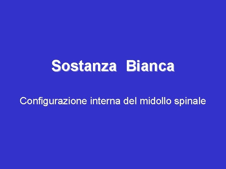 Sostanza Bianca Configurazione interna del midollo spinale 