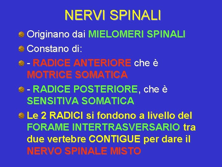 NERVI SPINALI Originano dai MIELOMERI SPINALI Constano di: - RADICE ANTERIORE che è MOTRICE