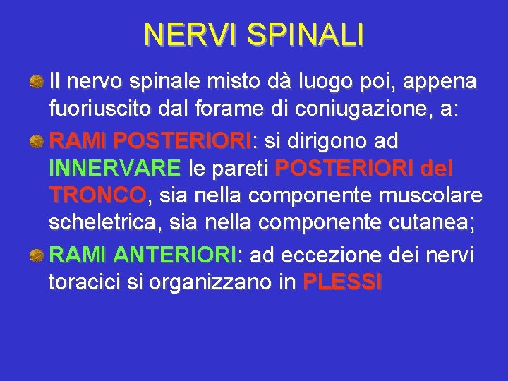 NERVI SPINALI Il nervo spinale misto dà luogo poi, appena fuoriuscito dal forame di