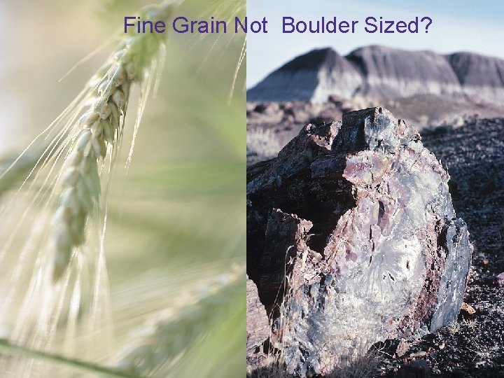 Fine Grain Not Boulder Sized? 