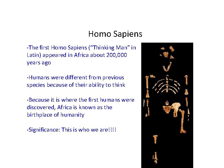 Homo Sapiens -The first Homo Sapiens (“Thinking Man” in Latin) appeared in Africa about