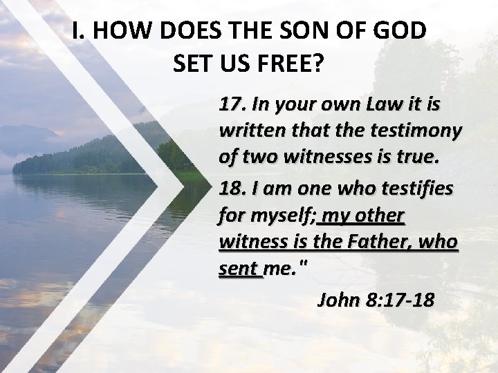 I. HOW DOES THE SON OF GOD SET US FREE? 17. In your own