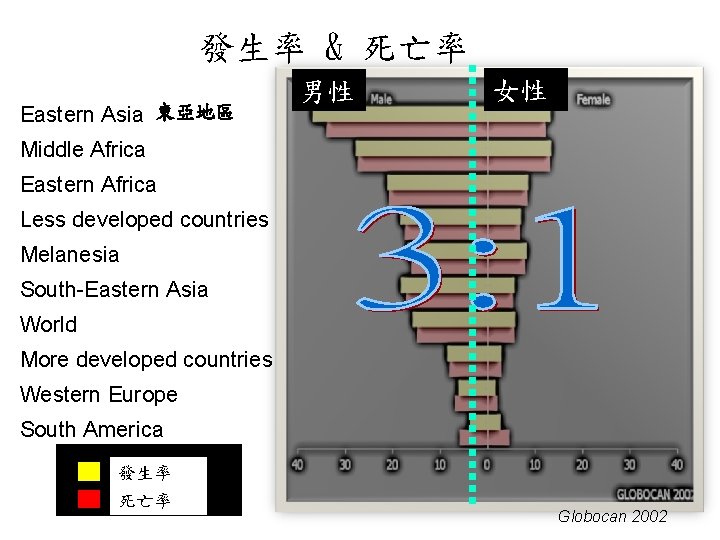 發生率 & 死亡率 Eastern Asia 東亞地區 男性 女性 Middle Africa Eastern Africa Less developed