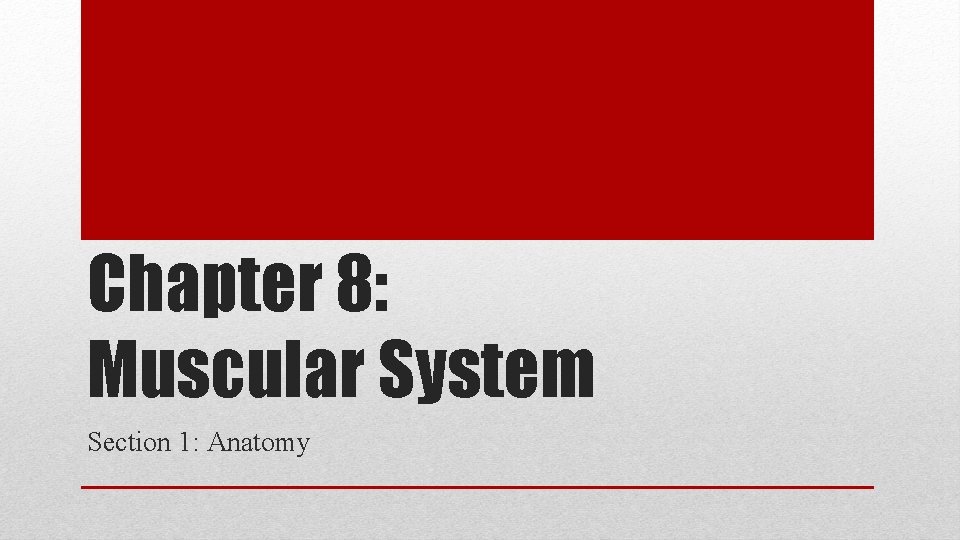 Chapter 8: Muscular System Section 1: Anatomy 