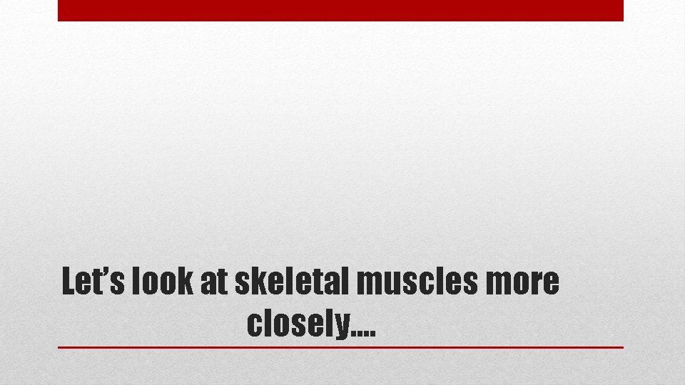 Let’s look at skeletal muscles more closely…. 