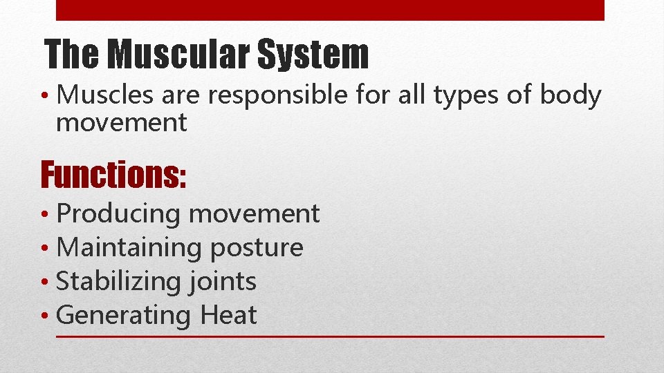 The Muscular System • Muscles are responsible for all types of body movement Functions:
