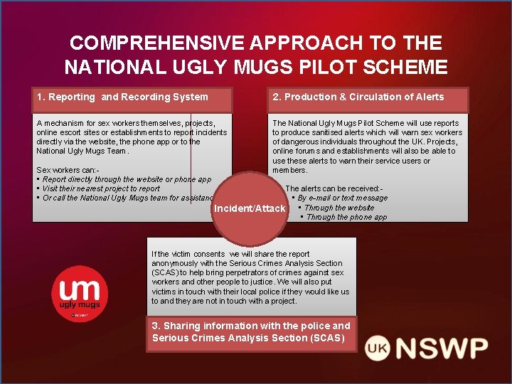COMPREHENSIVE APPROACH TO THE NATIONAL UGLY MUGS PILOT SCHEME 1. Reporting and Recording System