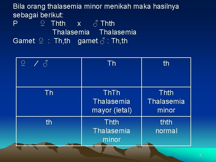 Bila orang thalasemia minor menikah maka hasilnya sebagai berikut: P ♀ Thth x ♂