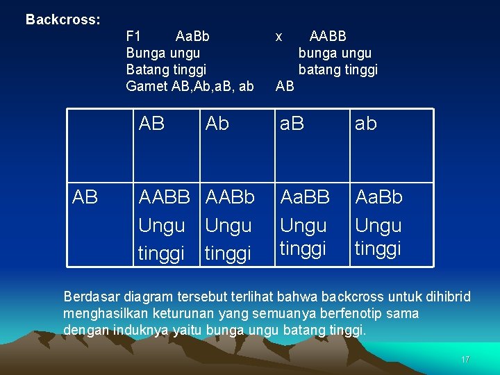 Backcross: F 1 Aa. Bb Bunga ungu Batang tinggi Gamet AB, Ab, a. B,