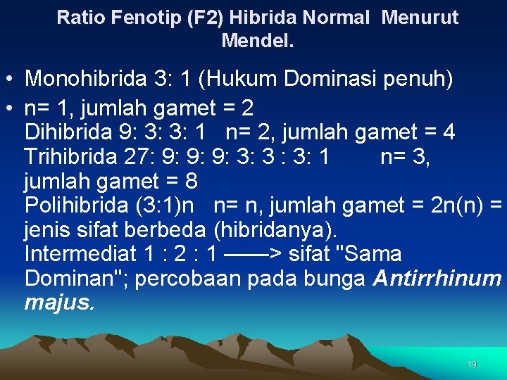 Ratio Fenotip (F 2) Hibrida Normal Menurut Mendel. • Monohibrida 3: 1 (Hukum Dominasi