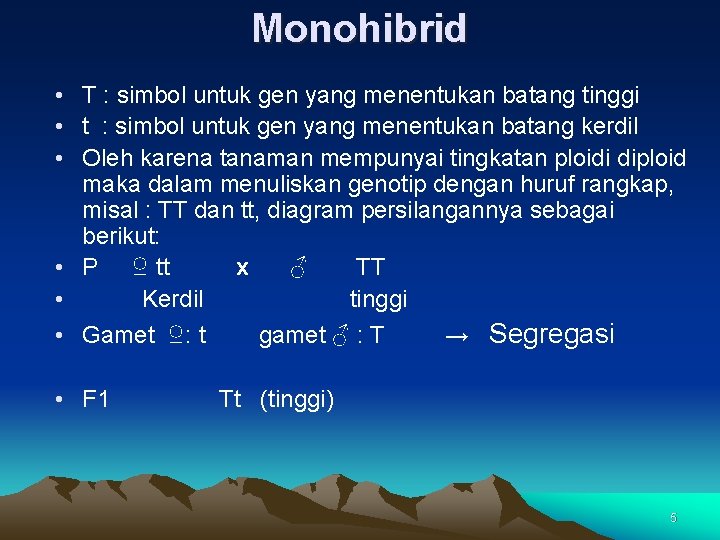 Monohibrid • T : simbol untuk gen yang menentukan batang tinggi • t :