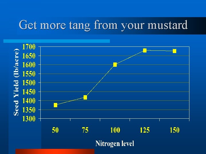 Get more tang from your mustard 