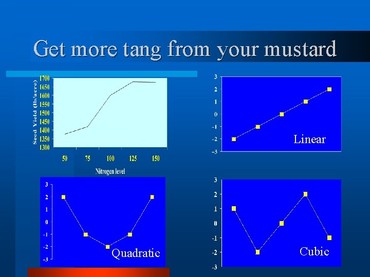 Get more tang from your mustard Linear Quadratic Cubic 