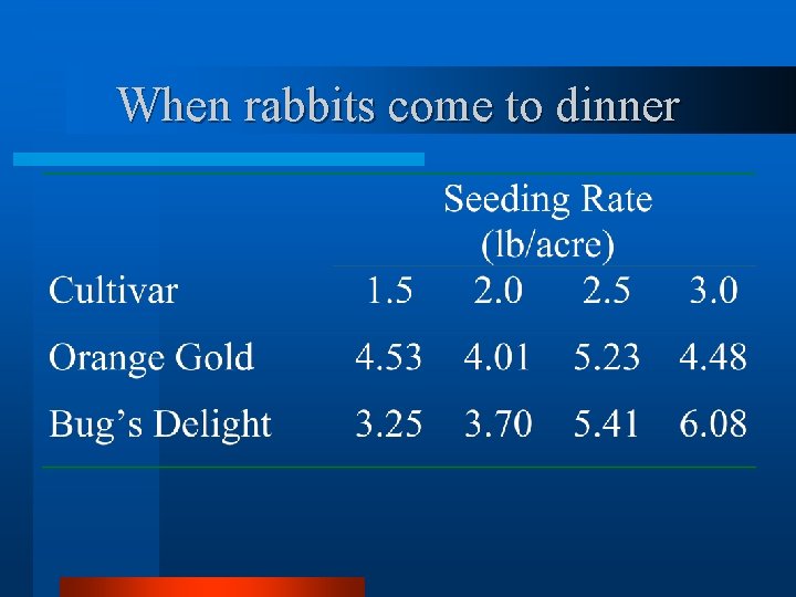 When rabbits come to dinner 