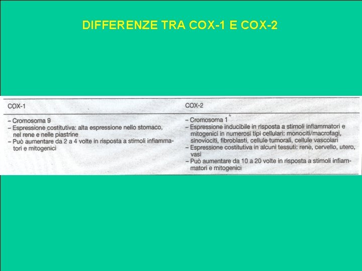 DIFFERENZE TRA COX-1 E COX-2 