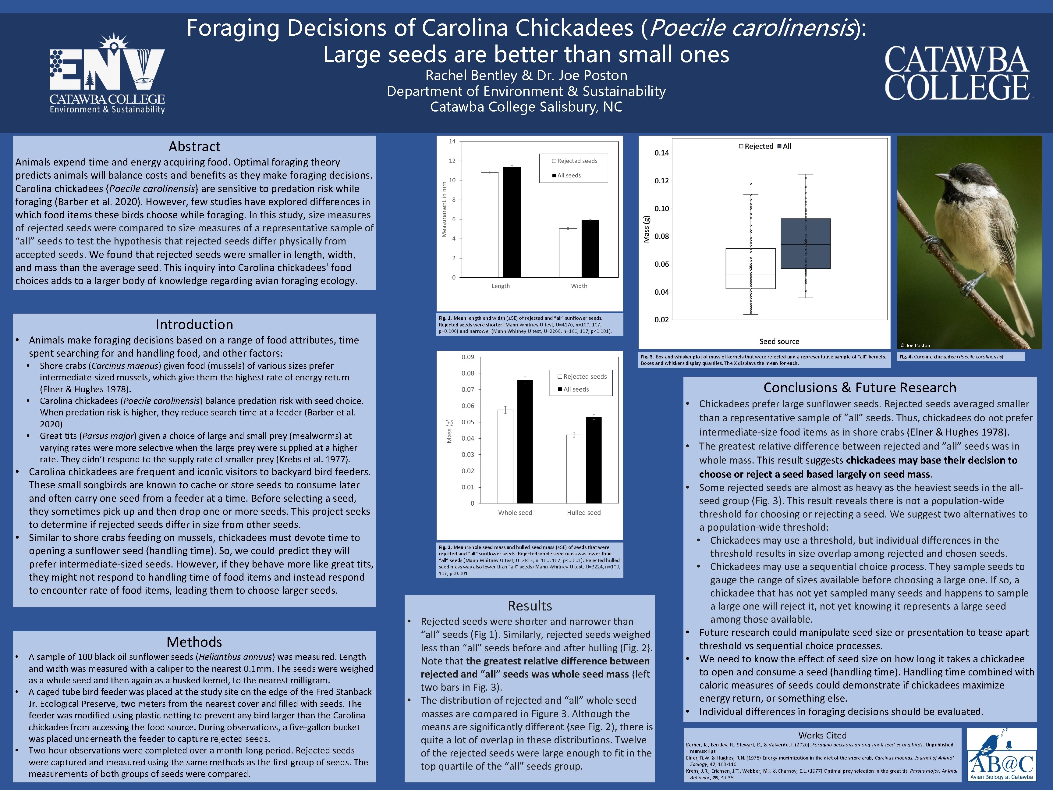 Foraging Decisions of Carolina Chickadees (Poecile carolinensis): Large seeds are better than small ones