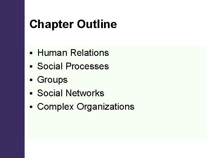 Chapter Outline § § § Human Relations Social Processes Groups Social Networks Complex Organizations