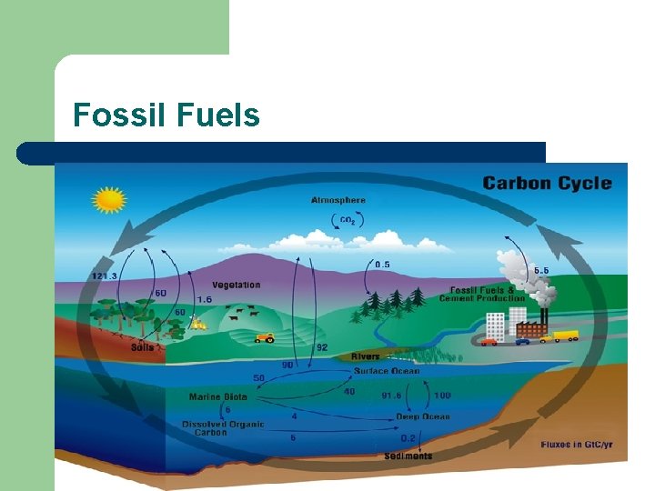 Fossil Fuels 