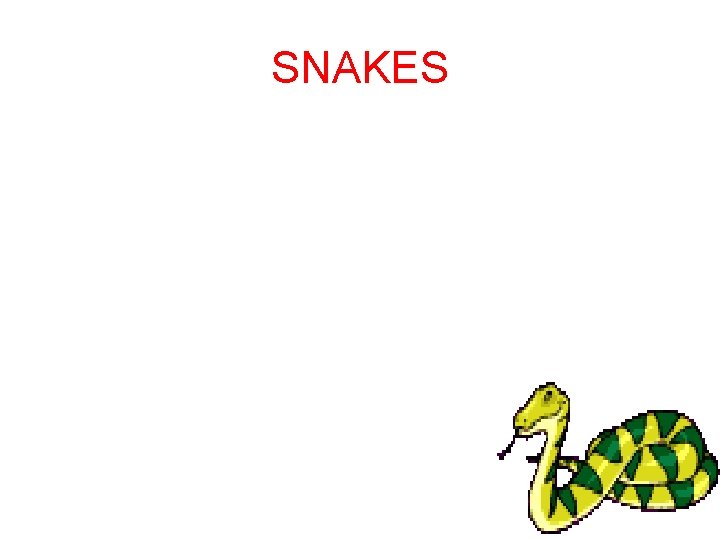 SNAKES 