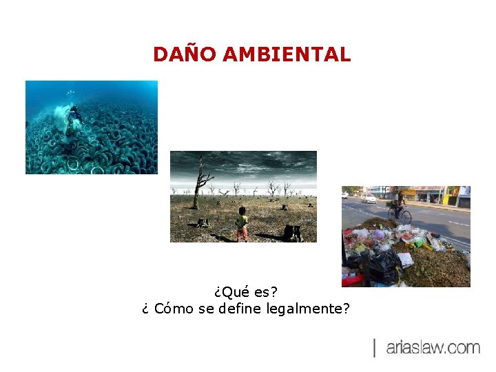 DAÑO AMBIENTAL ¿Qué es? ¿ Cómo se define legalmente? 