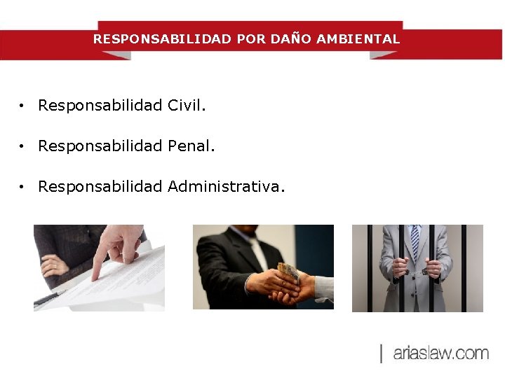 RESPONSABILIDAD POR DAÑO AMBIENTAL • Responsabilidad Civil. • Responsabilidad Penal. • Responsabilidad Administrativa. 