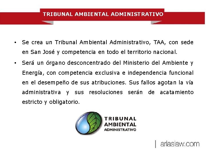 TRIBUNAL AMBIENTAL ADMINISTRATIVO • Se crea un Tribunal Ambiental Administrativo, TAA, con sede en