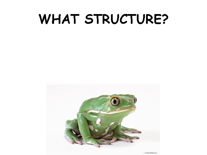 WHAT STRUCTURE? 