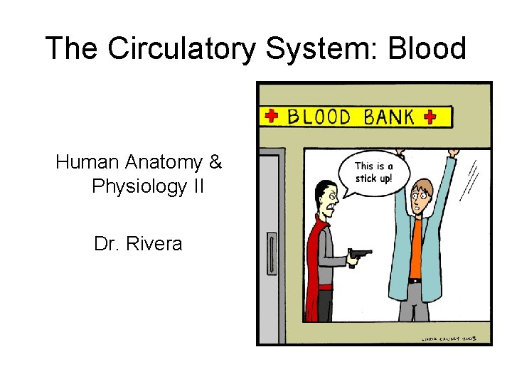 The Circulatory System: Blood Human Anatomy & Physiology II Dr. Rivera 