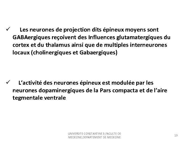 ü Les neurones de projection dits épineux moyens sont GABAergiques reçoivent des Influences glutamatergiques