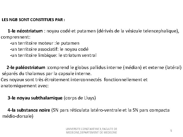 LES NGB SONT CONSTITUES PAR : 1 -le néostriatum : noyau codé et putamen