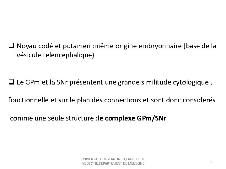 q Noyau codé et putamen : même origine embryonnaire (base de la vésicule telencephalique)