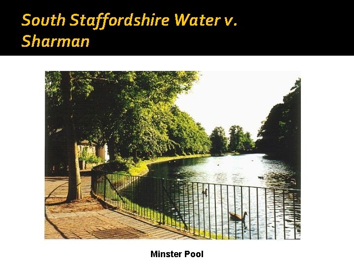 South Staffordshire Water v. Sharman Minster Pool 