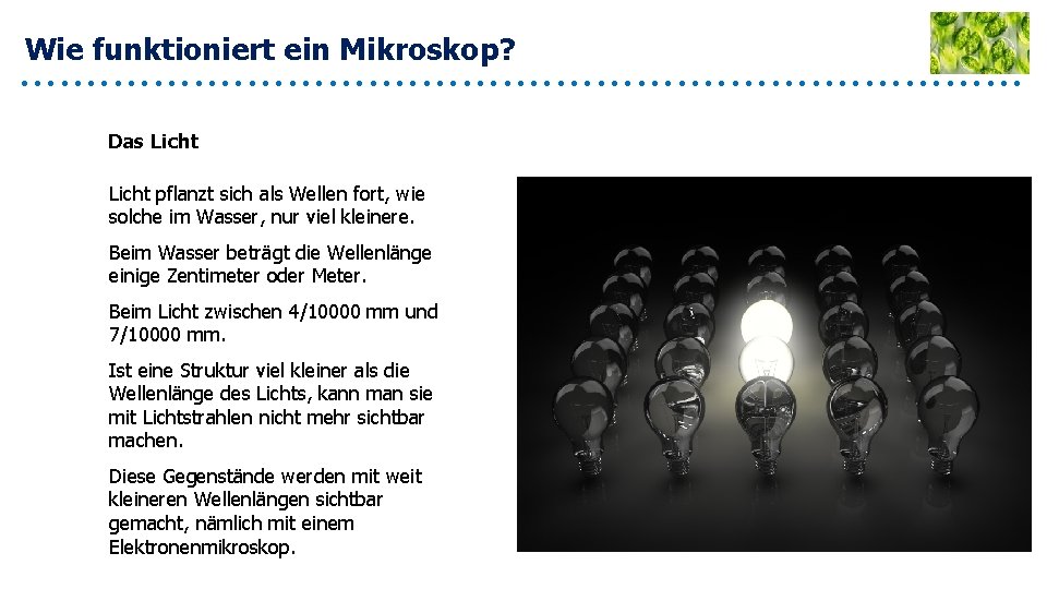 Wie funktioniert ein Mikroskop? Das Licht pflanzt sich als Wellen fort, wie solche im