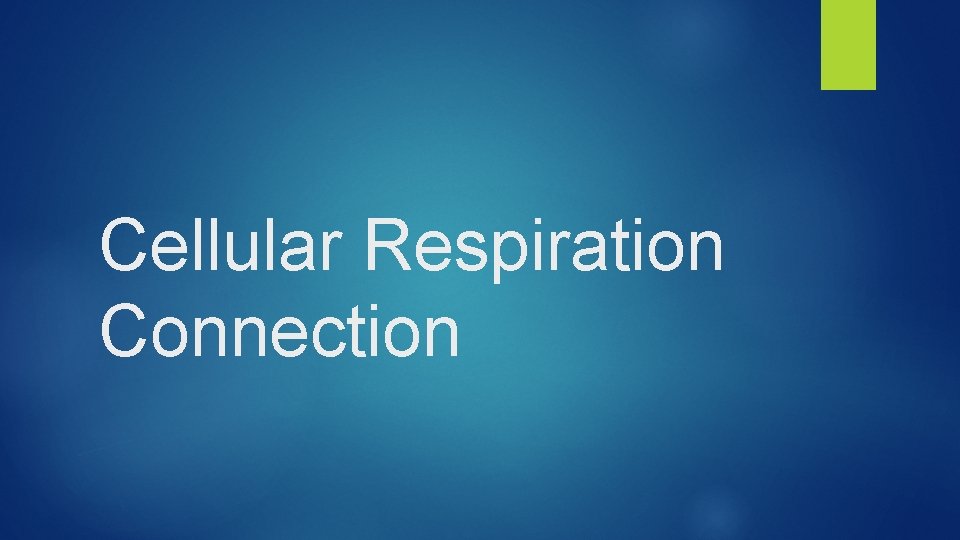 Cellular Respiration Connection 