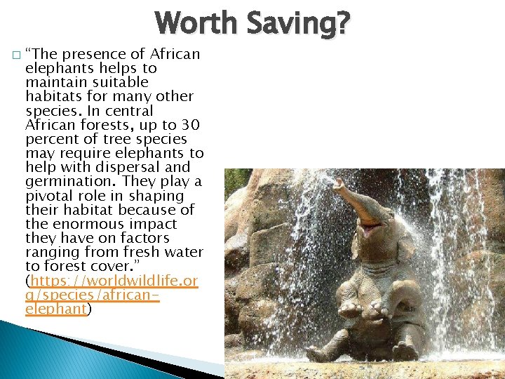 Worth Saving? � “The presence of African elephants helps to maintain suitable habitats for Worth Saving? � “The presence of African elephants helps to maintain suitable habitats for