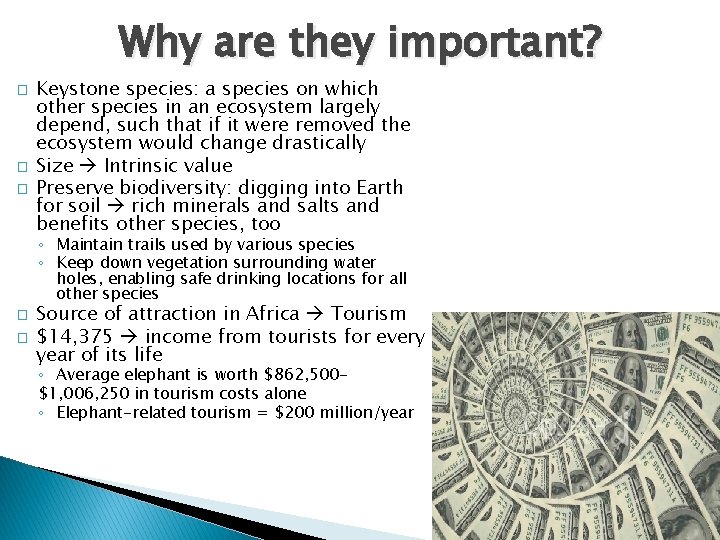 Why are they important? � � � Keystone species: a species on which other Why are they important? � � � Keystone species: a species on which other