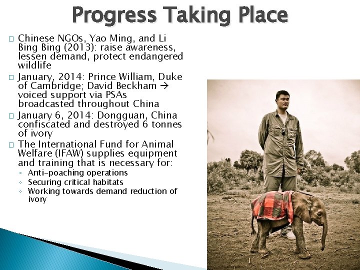 Progress Taking Place � � Chinese NGOs, Yao Ming, and Li Bing (2013): raise Progress Taking Place � � Chinese NGOs, Yao Ming, and Li Bing (2013): raise