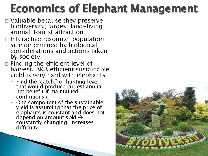 Economics of Elephant Management Valuable because they preserve biodiversity; largest land-living animal; tourist attraction Economics of Elephant Management Valuable because they preserve biodiversity; largest land-living animal; tourist attraction