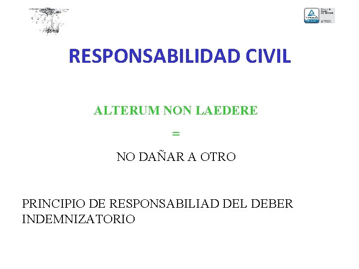 RESPONSABILIDAD CIVIL ALTERUM NON LAEDERE = NO DAÑAR A OTRO PRINCIPIO DE RESPONSABILIAD DEL