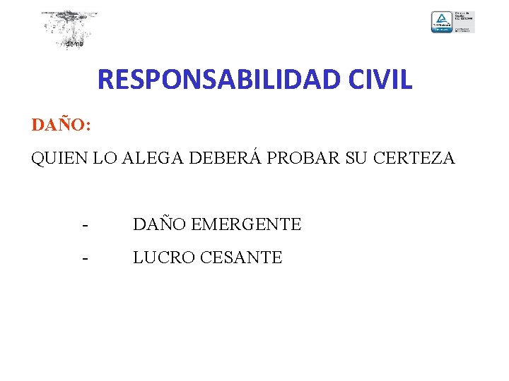 RESPONSABILIDAD CIVIL DAÑO: QUIEN LO ALEGA DEBERÁ PROBAR SU CERTEZA - DAÑO EMERGENTE -